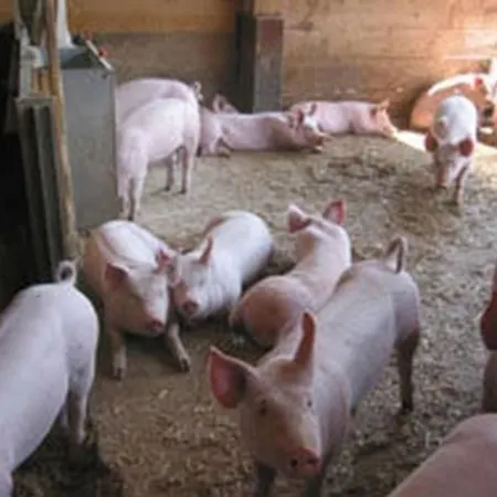 Leinacherhof By Interhome Seeberg