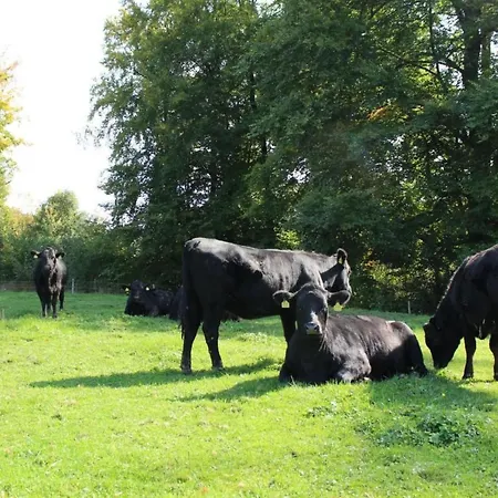 Leinacherhof By Interhome Seeberg