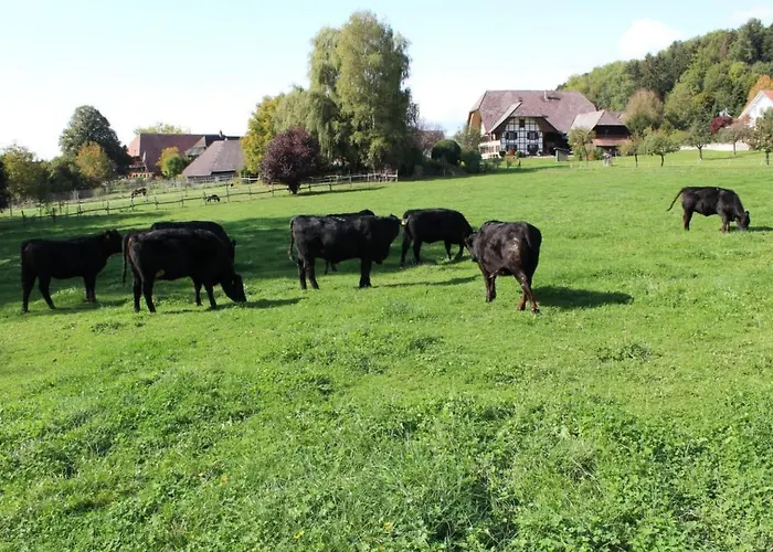 Leinacherhof By Interhome *