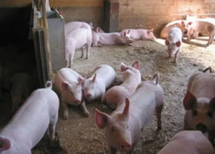 Leinacherhof By Interhome Seeberg