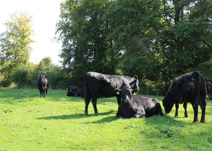 Leinacherhof By Interhome Seeberg